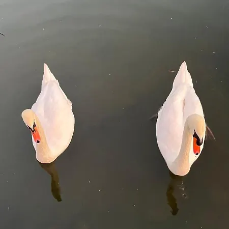 Oh, Mon Bateau! No Running Water, Bez Tekuce Vode Chalet