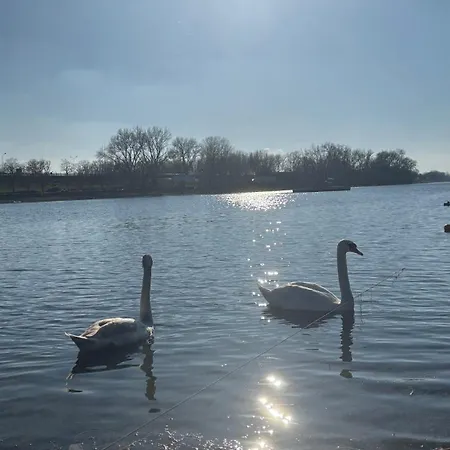 Oh, Mon Bateau! No Running Water, Bez Tekuce Vode