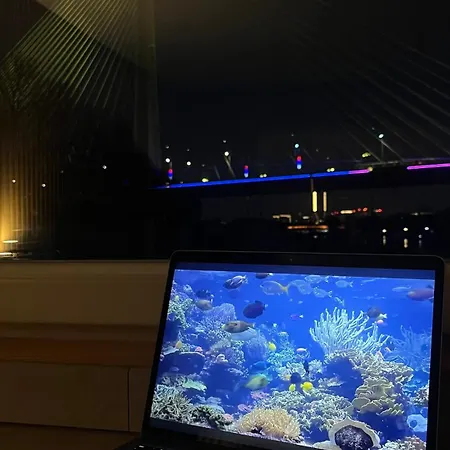 Oh, Mon Bateau! No Running Water, Bez Tekuce Vode 베오그라드