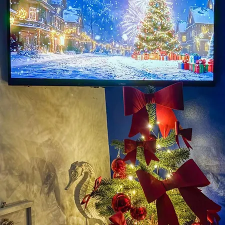 Oh, Mon Bateau! No Running Water, Bez Tekuce Vode בלגרד