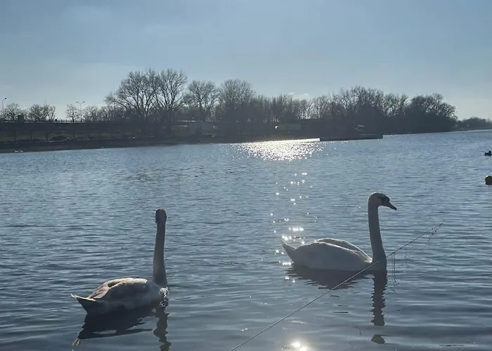 Oh, Mon Bateau! No Running Water, Bez Tekuce Vode