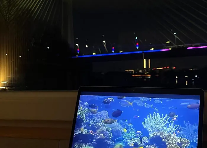 Oh, Mon Bateau! No Running Water, Bez Tekuce Vode בלגרד