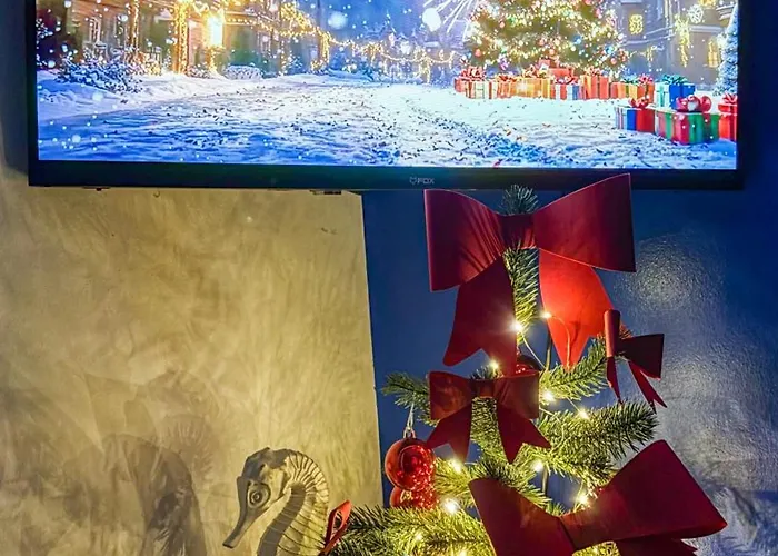 Oh, Mon Bateau! No Running Water, Bez Tekuce Vode בלגרד